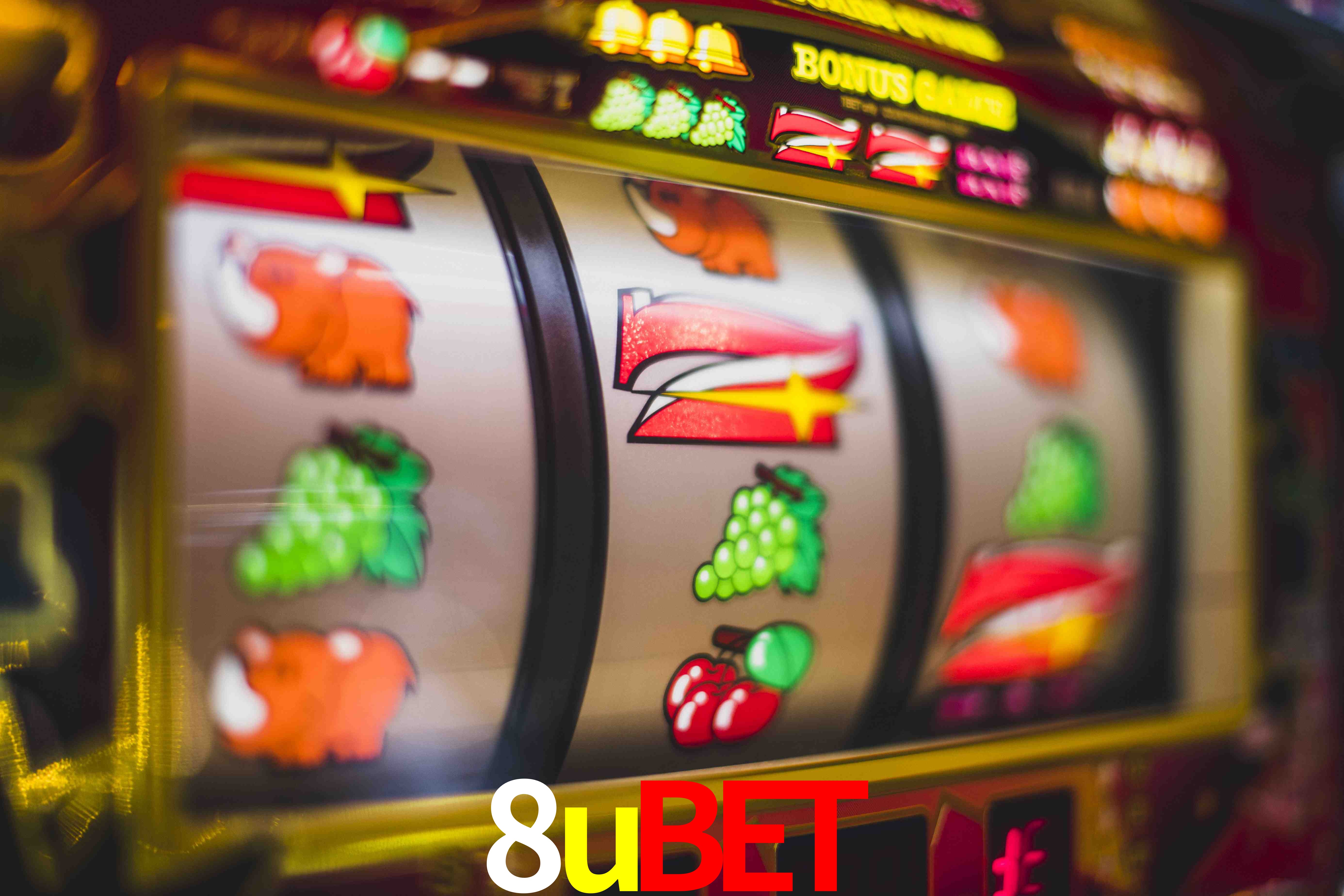 Tennis Betting 8ubet